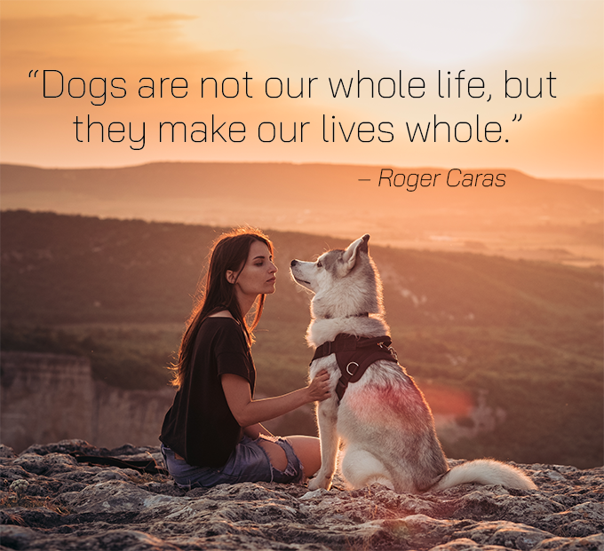 Phoenix Rising Integrative Vet Care tweet media