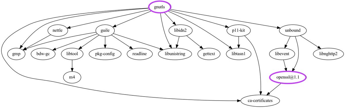 OpenSSL is back in the news

I've got some bad news for anyone looking to "just" switch to an alternative TLS library

(it's 🐢s all the way down)
