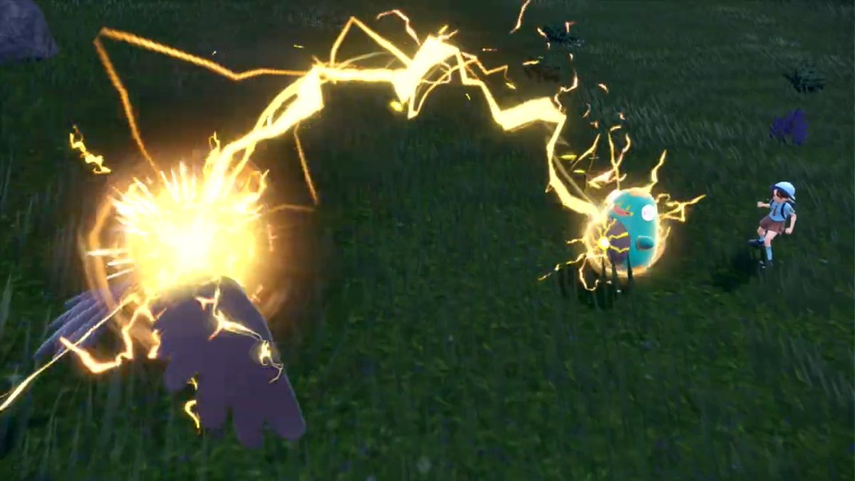 PineTrees&Chill tweet media