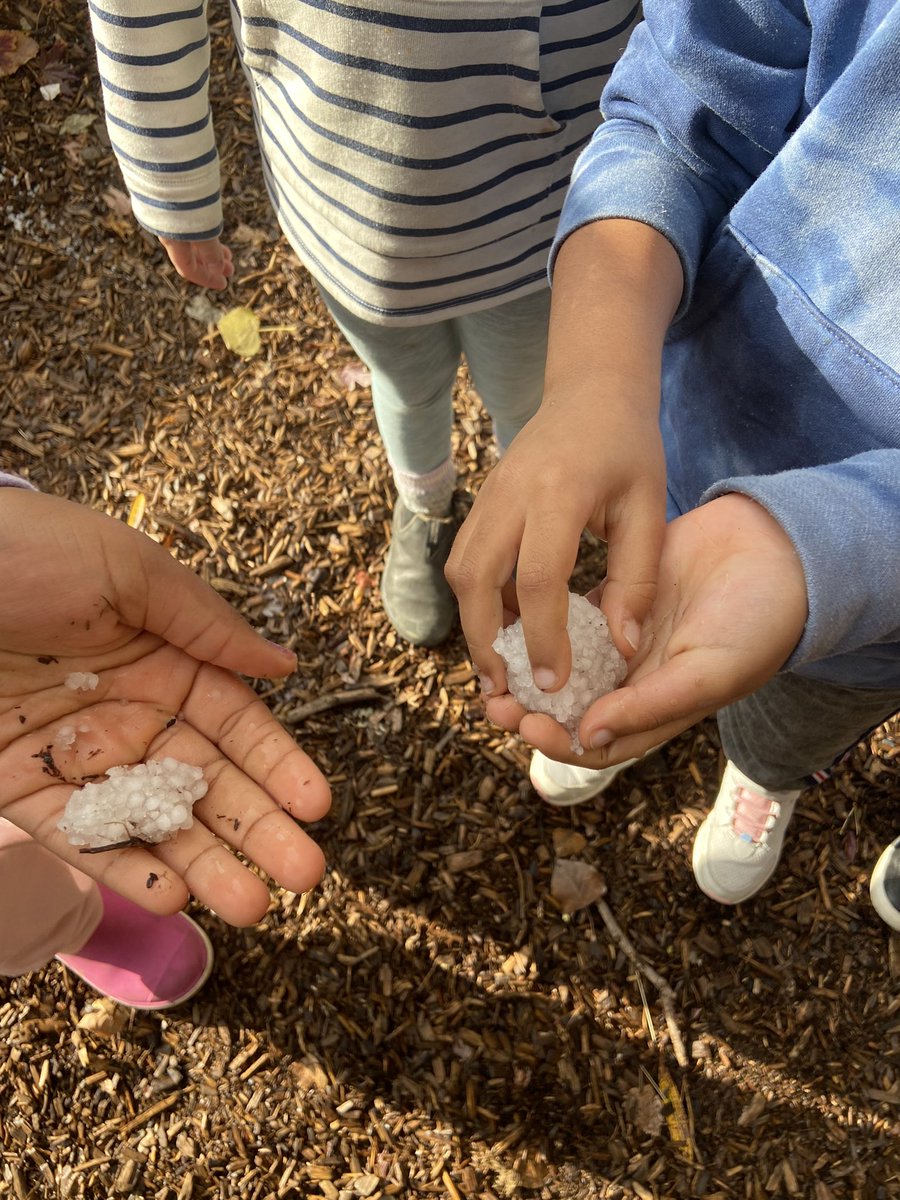 ms_jduncan's tweet photo. Students found hail outside which has made us inquire into the difference between freezing rain and hail. Our hypothesis is hail starts off as freezing rain but it is the wind that binds it together. Stay tune for the answer! @IslandPublicNSS https://t.co/5s7yCFMb7l