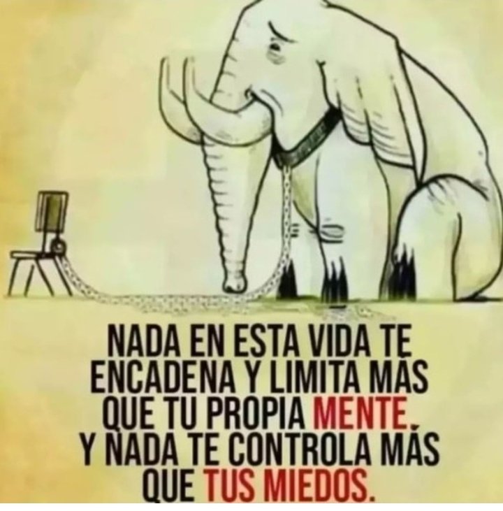 Cirilorff's tweet photo. 🤐👌🏻 https://t.co/2tBhfj4DTu