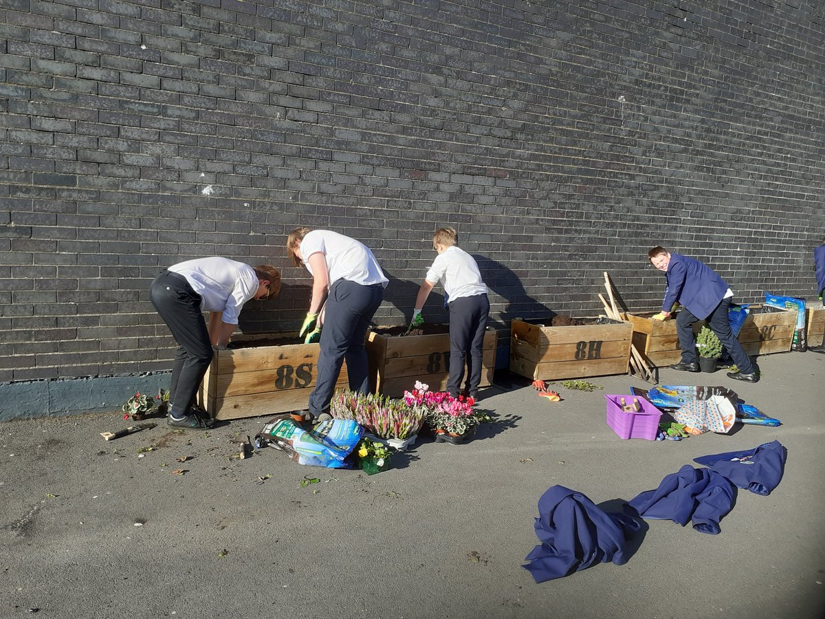 HodgsonAcademy's tweet photo. Well done to the Hodgson Botany Club, led by Ms. Scott, for making our planters look absolutely beautiful. The whole school will now have the pleasure of seeing them every day  #Contribution #BeautifulBotany https://t.co/iUNBCXS2Oe