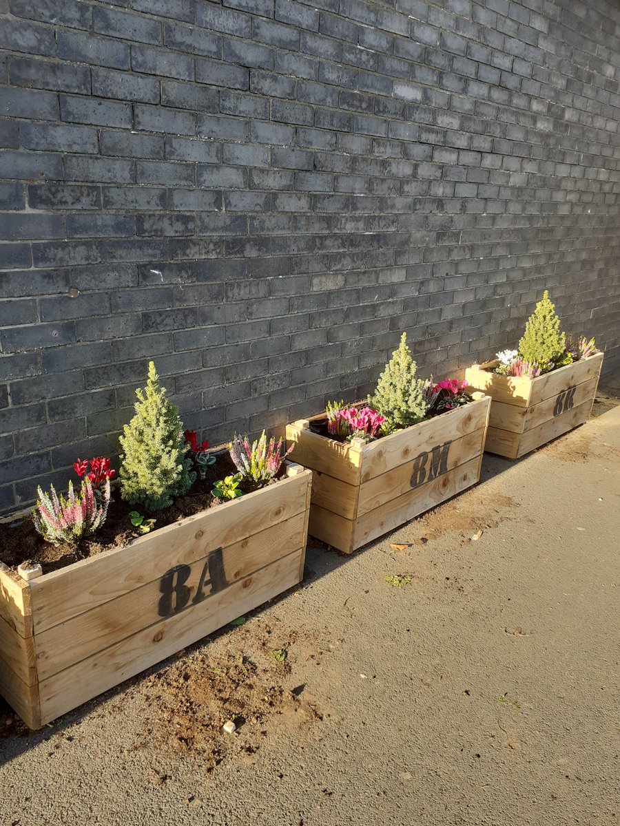 HodgsonAcademy's tweet photo. Well done to the Hodgson Botany Club, led by Ms. Scott, for making our planters look absolutely beautiful. The whole school will now have the pleasure of seeing them every day  #Contribution #BeautifulBotany https://t.co/iUNBCXS2Oe