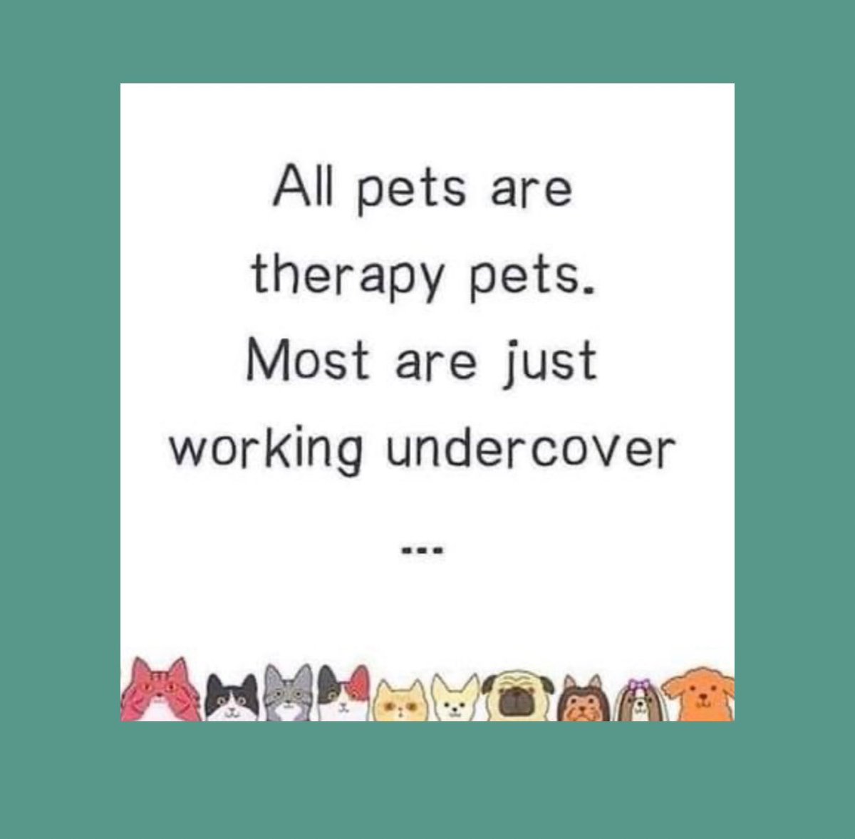 HilaryRanch's tweet photo. Best therapists!
#hilarysdoodleranch #bernedoodles #puppies #minibernedoodles #babbreeder #bernedoodlepuppies #besttherapy #workingundercover #puppylove https://t.co/iW1xU2Jzv1