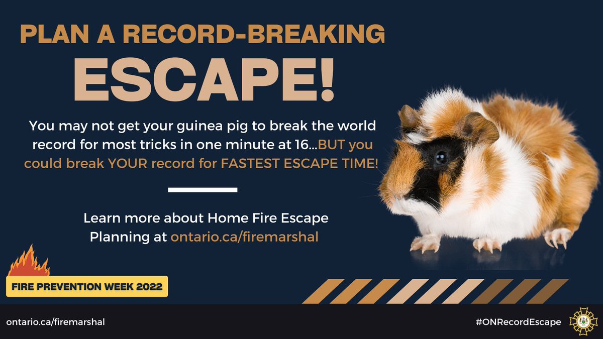 ONFireMarshal's tweet photo. Your #GuineaPig probably won't break this #WorldRecord – but this #FirePreventionWeek you can certainly break YOUR record for fastest escape time! Plan a Record-Breaking Escape TODAY! #ONRecordEscape #FireSafety https://t.co/wTsZYjS4NF