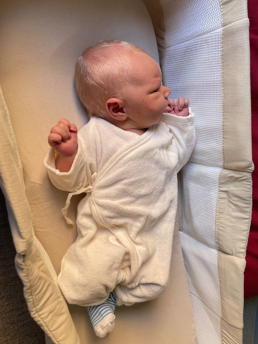 Sorry to be missing colleagues in person at Public Address Conference! Here is my reason for the video presentation this afternoon.