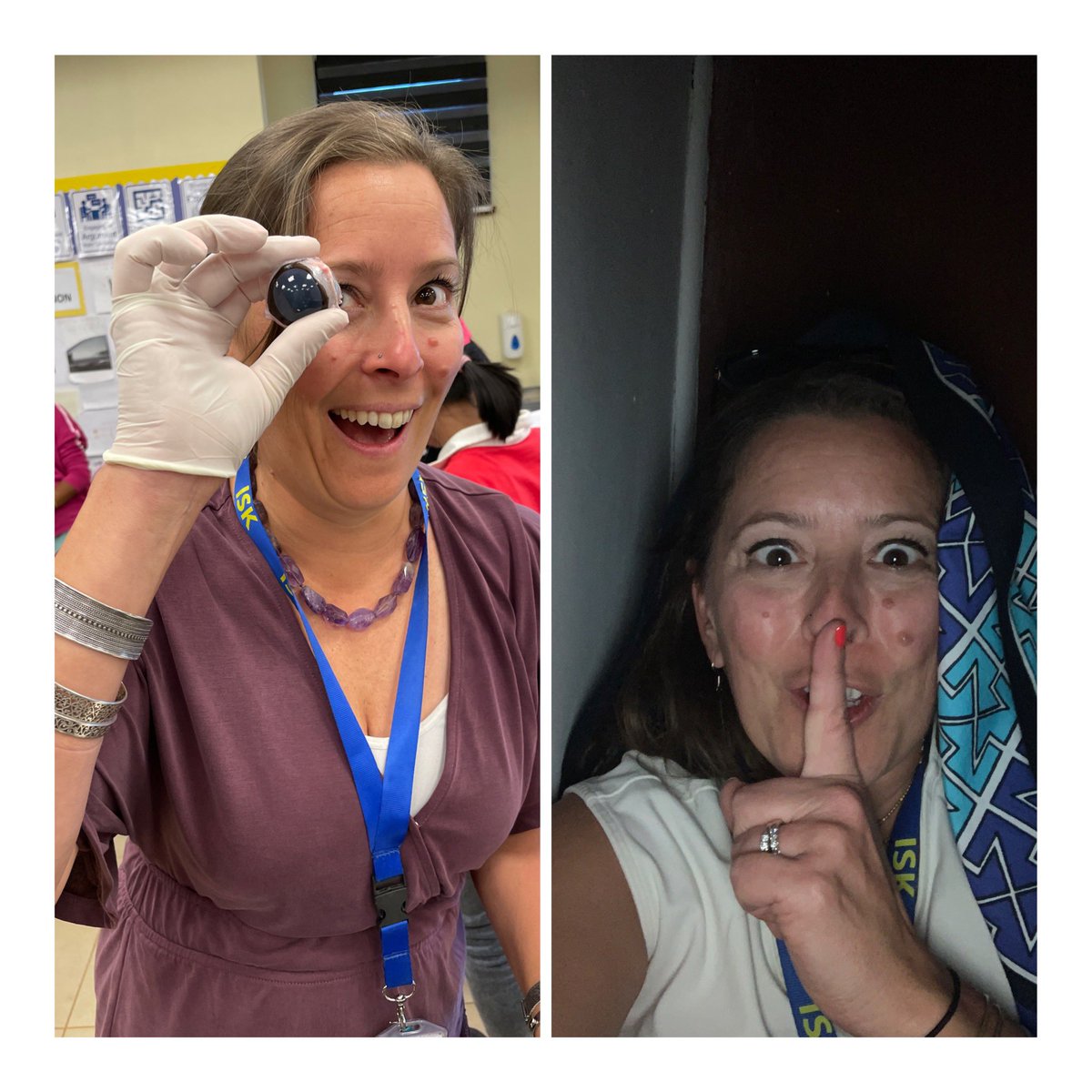 Alexa Schmid, EdD tweet media