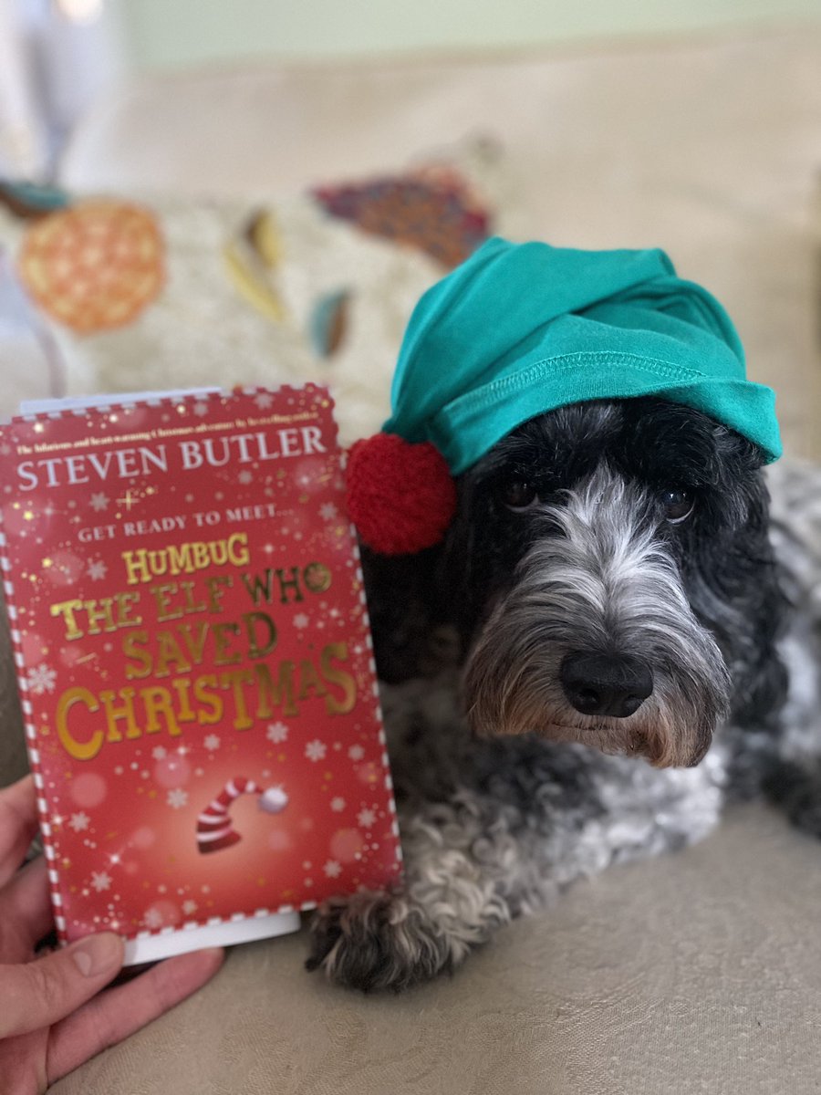 Belated book birthday love to @sbutlerbooks and #humbug @scholasticuk for yesterday from me the the elf-pooch! It’s a perfectly hilarious Christmas book that you won’t want to miss!! Hohoho!