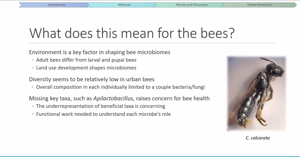 Cindy Phuong Nguyen <a href="/CindyPNguyen/">Cindy Phuong Nguyen</a> discusses how urban centres should consider the impact of growing cities on their pollinators’ health and protect #wildbees from the effects of anthropogenic activities at #BeeCon <a href="/BeesYork/">BeesYU</a> <a href="/sanrehan/">Sandra Rehan</a> #YUResearch