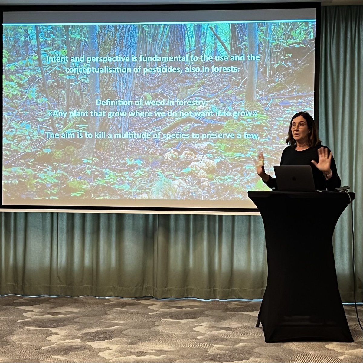 Deadly Dreams Research Network tweet media