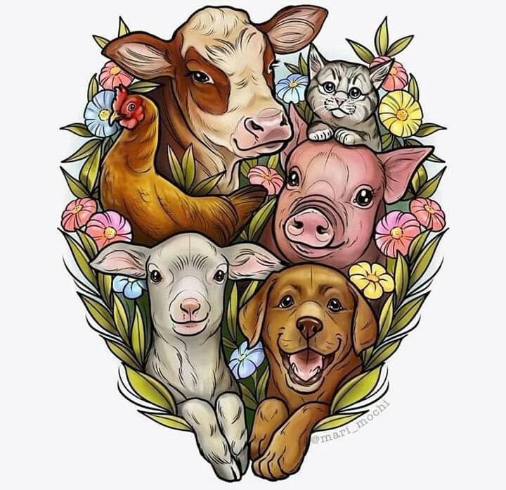 Have a nice #Sunday! Tomorrow is #Monday, the best day to #GoVegan and #GoVegetarian 😉💚❤️
