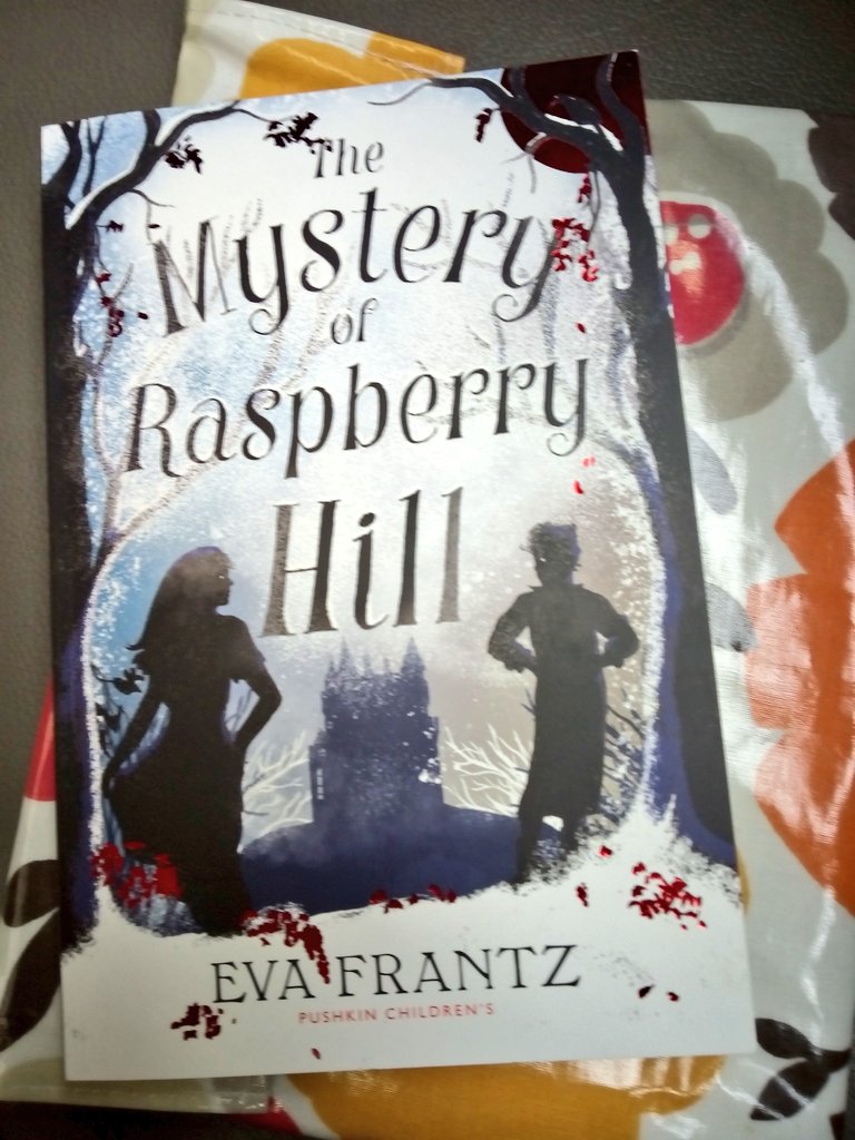 Today's brilliant book from @PushkinPress in the super @CosimacraftsSue cover is by @FruFrantz ✅😎 #TheMysteryofRaspberryHill 🌿🩻🧑‍⚕️🏥