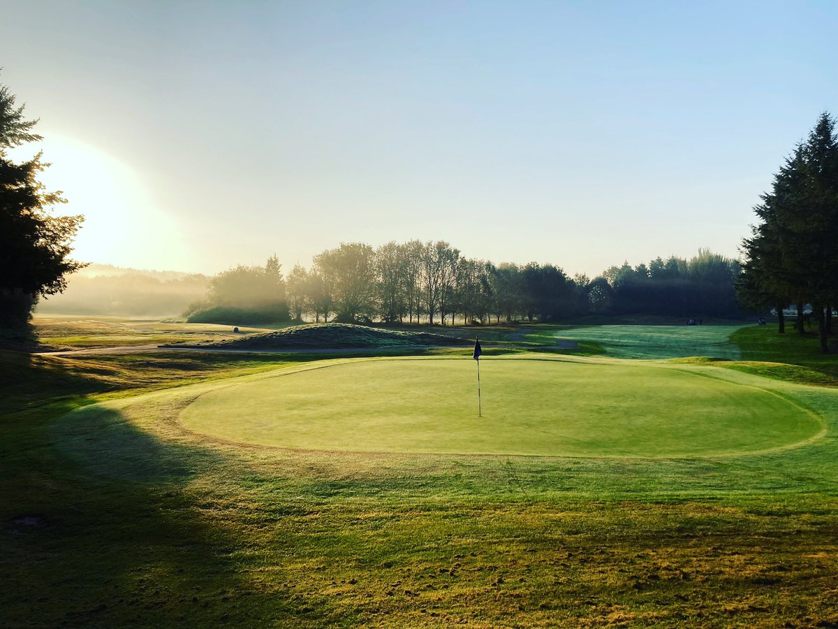 Happy Friday from Willows Run!