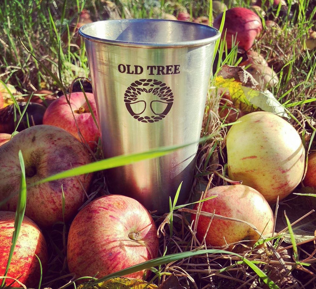 Old Tree Brewery tweet media