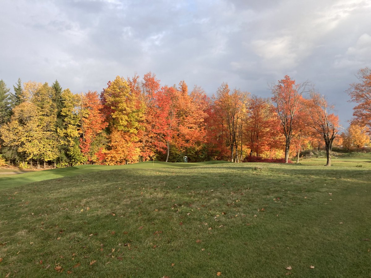 grahamjmarshall's tweet photo. #lowvillegc fall colours. Stunning vistas https://t.co/r8XSp0945F
