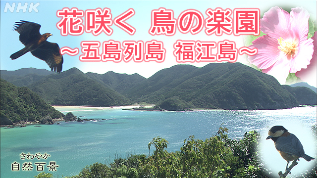 五島列島 の評価や評判 感想など みんなの反応を1週間ごとにまとめて紹介 ついラン