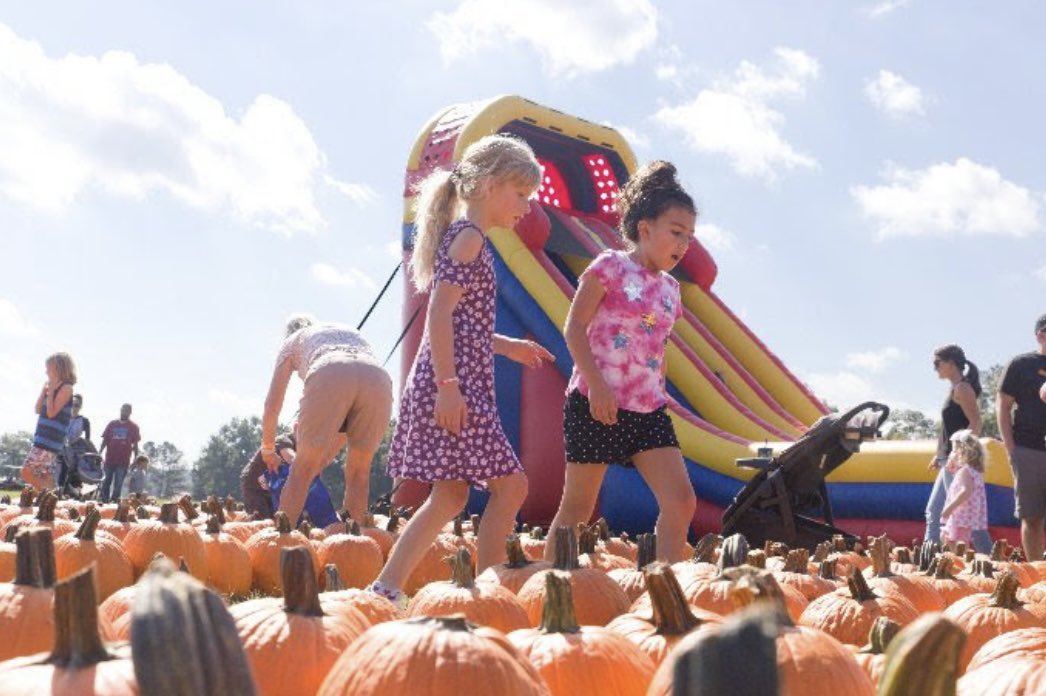 midtownmagazine's tweet photo. π ππβππ πππ πππππ πππππ! π·
#fallingforlocal festival at @DixPark, wine walk for @KayYowFund at @VisitNorthHills, all the local spooks + @NCStateFair fun!
Check out this weekβs π»πππ ππ πππ π»πππππππ!
https://t.co/p2yn3Ul9tK https://t.co/dOETUuNb2b