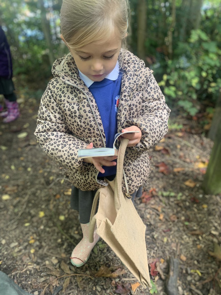 BradwayFS2's tweet photo. Learning about leaves in forest school https://t.co/dOTnkLmpUb