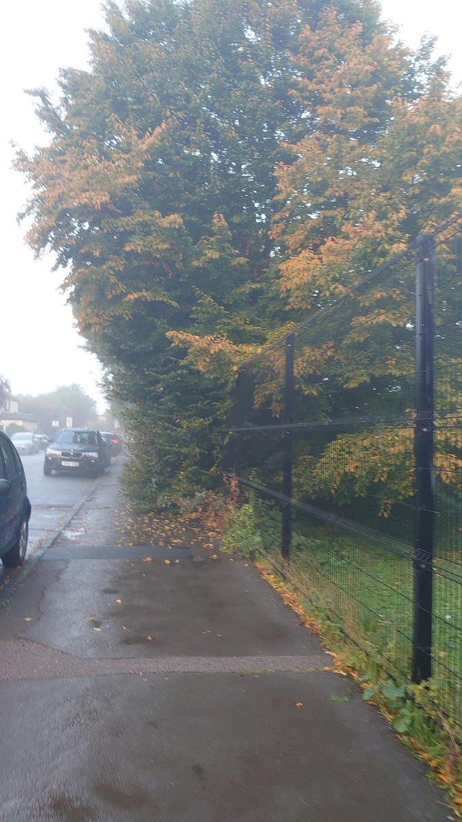 Andreiacocas's tweet photo. Children go on the road daily because of overgrown bushes. This with 2 schools ahead (the ride) @EnfieldCouncil do something https://t.co/riSzcUzvl9