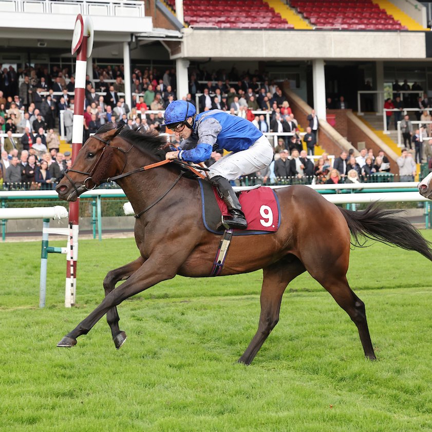 Haydock Park Races tweet media