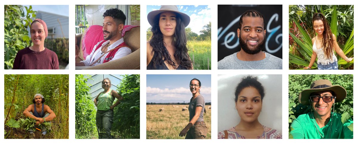 Meet the first cohort of the #YoungFarmers Power in Land, Agriculture, Climate, and Equity (PLACE) Fellowship! We are building a grassroots effort to challenge the corporate #climate agenda and promote #justice and #climateresilience. youngfarmers.org/place-fellowsh…