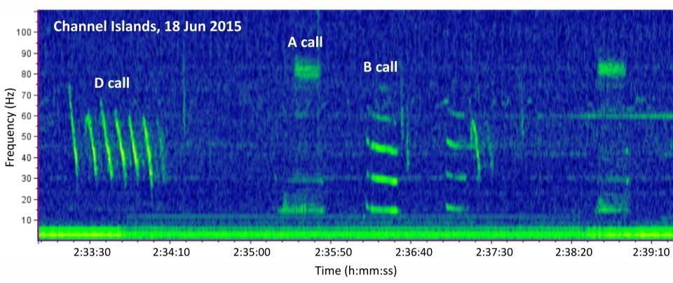 Carrie Wall tweet media
