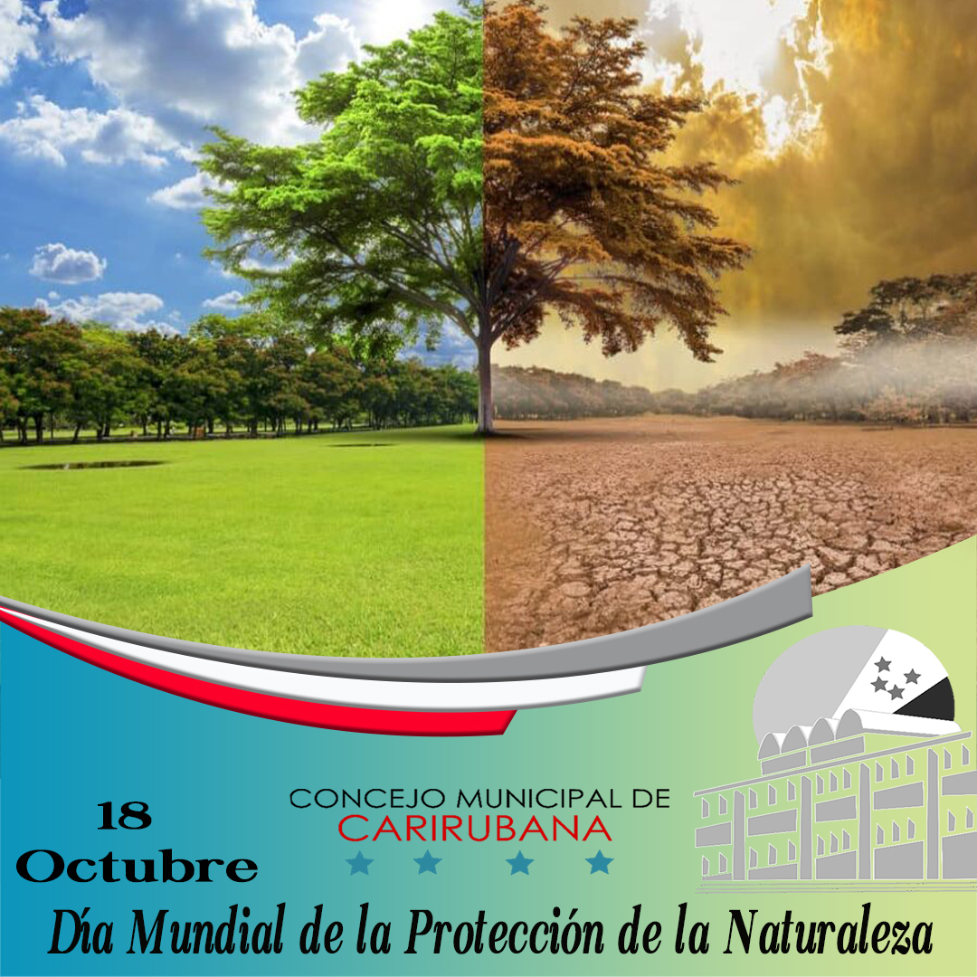 ConceCarirubana's tweet photo. Todos los #18deoct se celebra el Día Mundial de la Protección de la Naturaleza, establecido en el año 1972 con el objetivo de motivar la responsabilidad ambiental sobre la protección y cuidado de los espacios naturales que tienen  paisaje, fauna, vegetación o geomorfología. https://t.co/RUaAZmXgK8