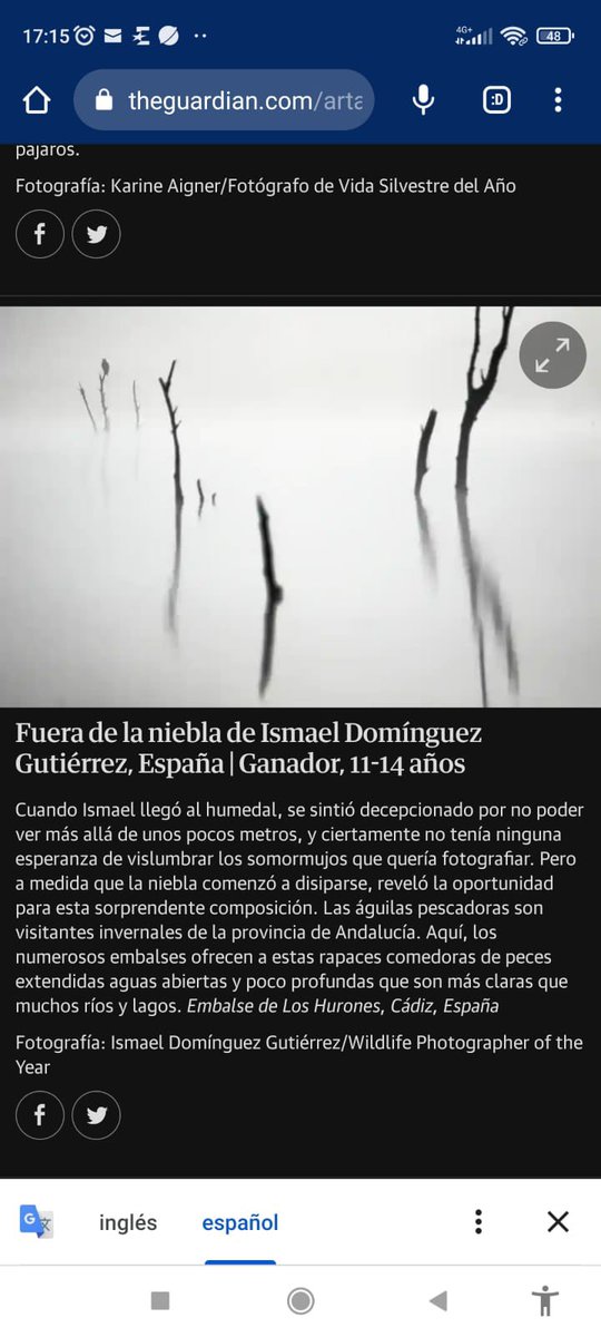 lidiatwit_5's tweet photo. @IES_LosRemedios Enhorabuena a nuestro alumno Ismael Domínguez Gutiérrez  por ser el ganador de la categoría de 11-14 años en el Wildlife Photographer of the Year 2022 👏👏👏 https://t.co/k4rSfMu5Ju