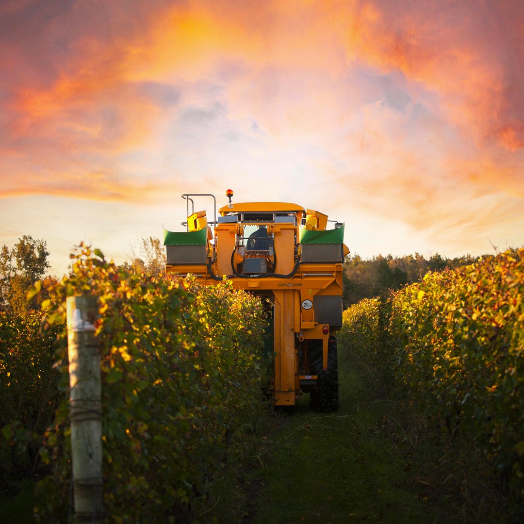 GlobalWineDB's tweet photo. GWDB Pro Anthony Road Wine Company was founded in 1990 by The Martini Family. The joy of growing grapes and producing fine wines still motivates and excites the Martini family…more than a quarter-century after the first vines took root.

#NewYorkWines #FingerLakesWine #NYwine https://t.co/qLASUla4UC