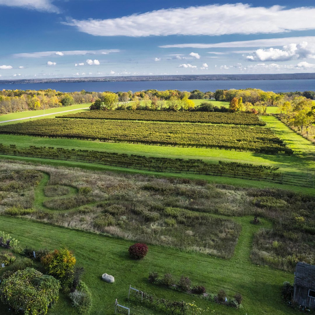 GWDB Pro Anthony Road Wine Company was founded in 1990 by The Martini Family. The joy of growing grapes and producing fine wines still motivates and excites the Martini family…more than a quarter-century after the first vines took root.

#NewYorkWines #FingerLakesWine #NYwine