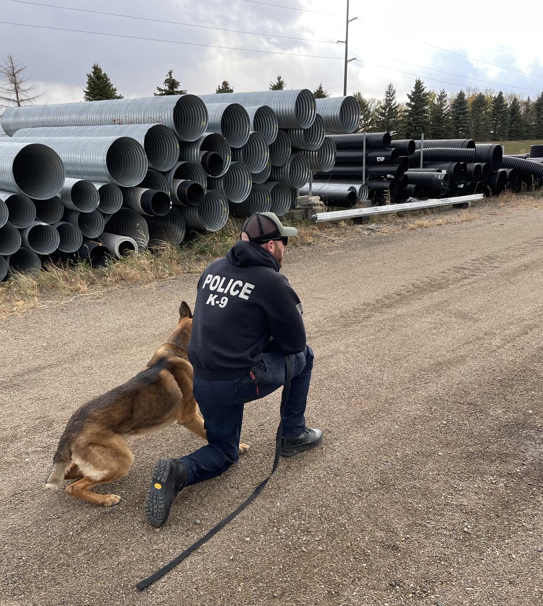 MnDPS_MSP's tweet photo. Our State Patrol drug K-9 teams completed their annual certification and training in Mankato this week. The teams searched for hidden drugs in a semi-trailer, in luggage and on buses. All of the MSP K-9 teams passed without missing anything! https://t.co/MuhenRGHzY