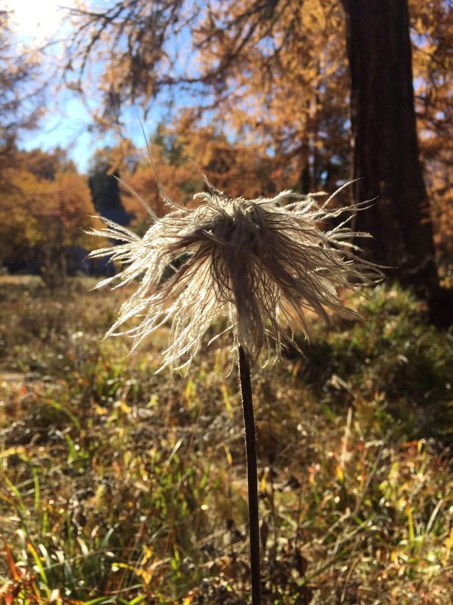 #herbst 
Ich wünsch euch einen wundervollen Freitagabend 💚