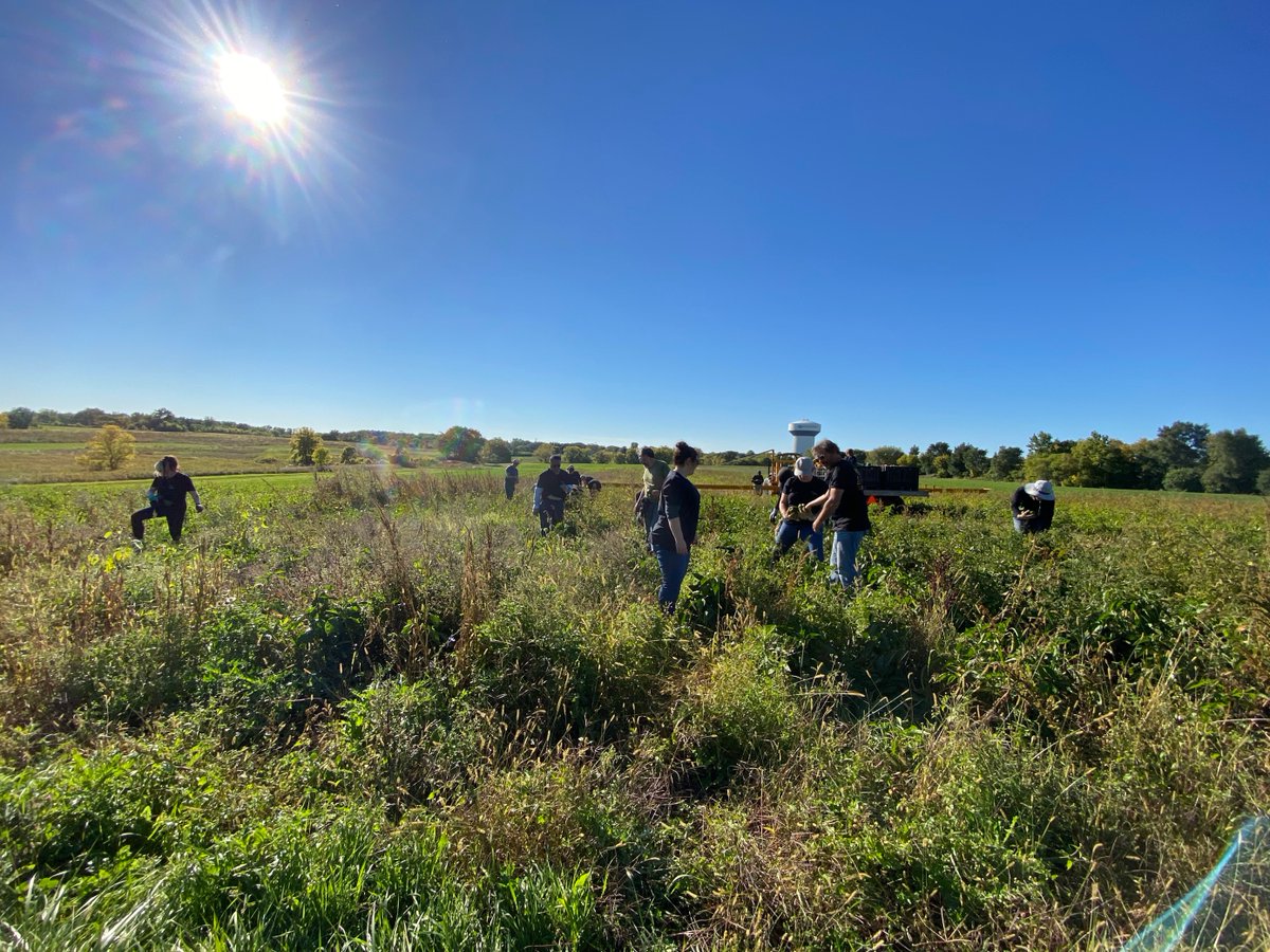 DematicAmericas's tweet photo. How many pounds of peppers can our #MKE office pick?
Answer: About 2,400 lbs!
@DematicGlobal employees from our Milwaukee office volunteered at the @hungertaskforce farm picking peppers that will be added to the food bank's supply. #LifeatDematic https://t.co/vM2jbFNJ9A