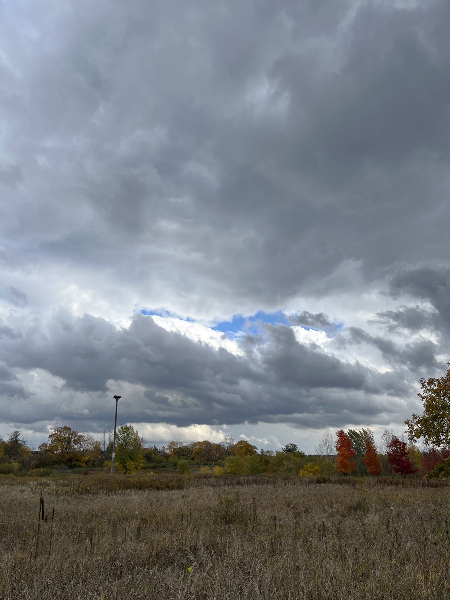 jenvasic2022's tweet photo. Bechtel Park – the ❤️of #Ward5Waterloo. https://t.co/7VePXfGRCI
