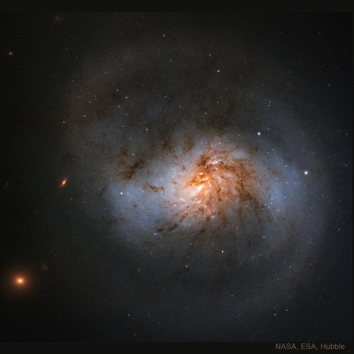 chandraxray's tweet photo. Today Chandra is studying the supermassive #BlackHole in the core of NGC 1022. This barred spiral galaxy is roughly 1/3 the size of our Milky Way Galaxy and it's located about 70 million light-years from Earth. Find out more about black holes at: https://t.co/pIqDd8d2Tf https://t.co/agA85FFYIs