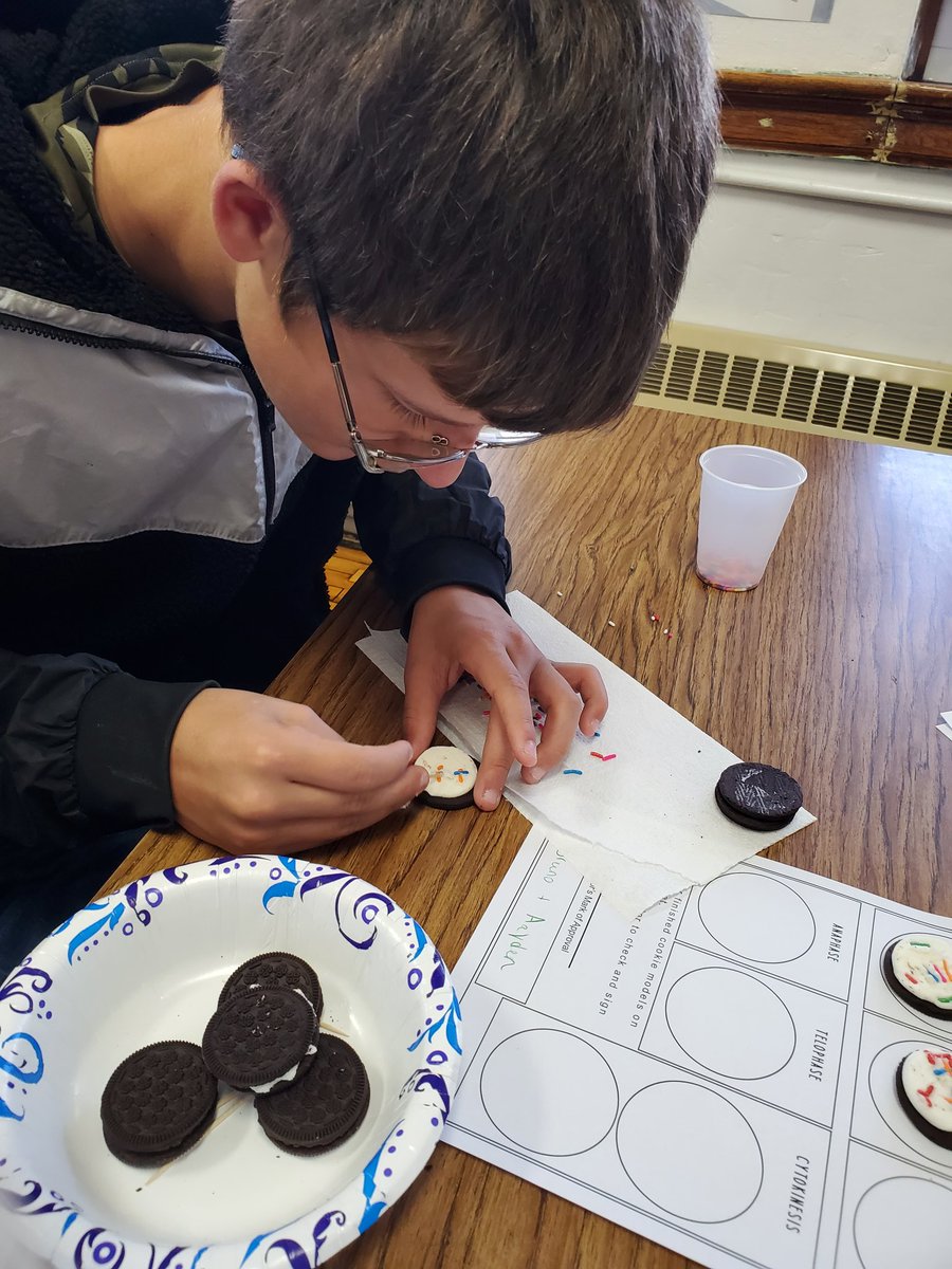 iwmsmac's tweet photo. Mrs. Zelhart's Life Science classes are modeling mitosis using oreos as the cell and sprinkles as DNA. @IW_Supe  @IWMSRaiders https://t.co/iOfkMgAUCd
