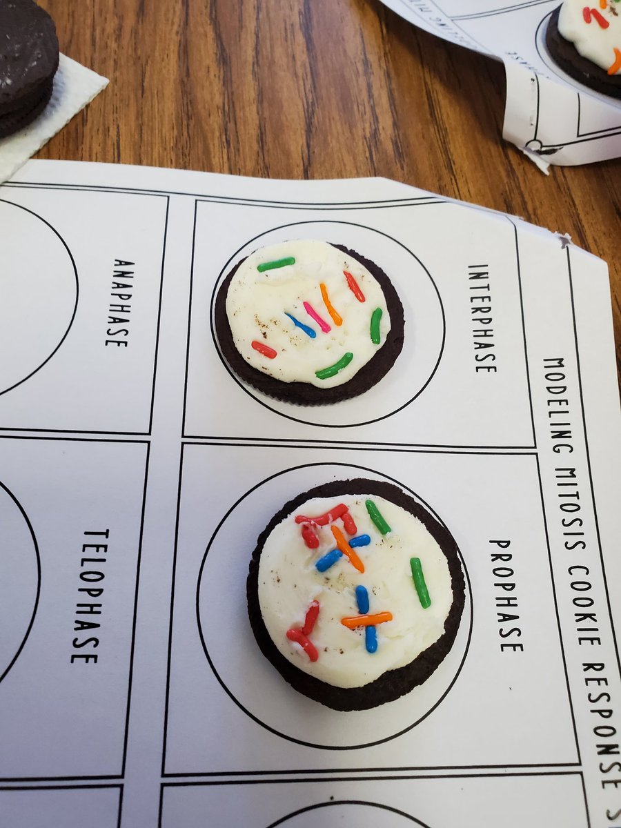 iwmsmac's tweet photo. Mrs. Zelhart's Life Science classes are modeling mitosis using oreos as the cell and sprinkles as DNA. @IW_Supe  @IWMSRaiders https://t.co/iOfkMgAUCd
