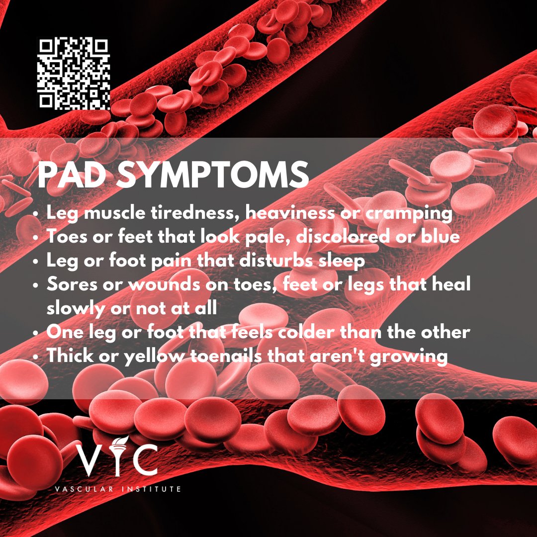 If you are experiencing symptoms of PAD - Be Evaluated - Be Treated.
#VICOctober #VIC #VICVascular #Veins #Endovascular #ArteryDisease #FLOW #VascularSurgery #VaricoseVeins #PAD #CAS #RAS #Aneurysm #Arterial #CLI #CLIFighter #Carotid #Peripheral #Renal #Atherosclerosis #Plaque