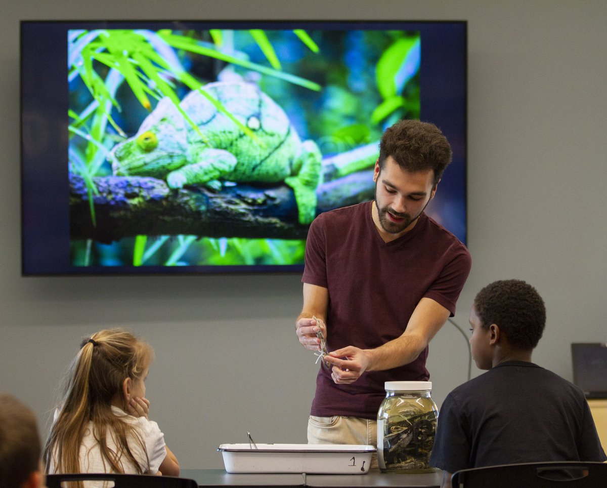 UTAScience's tweet photo. It’s been a great week visiting our friends at @ArlingtonTXLib and @CityMansfieldTX Library, highlighting the research and learning happening in #MaverickScience - specifically with UTA’s Planetarium and ARDRC.

@UTAPlanetarium x @UTAherpetology https://t.co/kFOLM4T70H