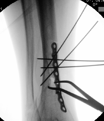 Dr. Edward Oates tweet media