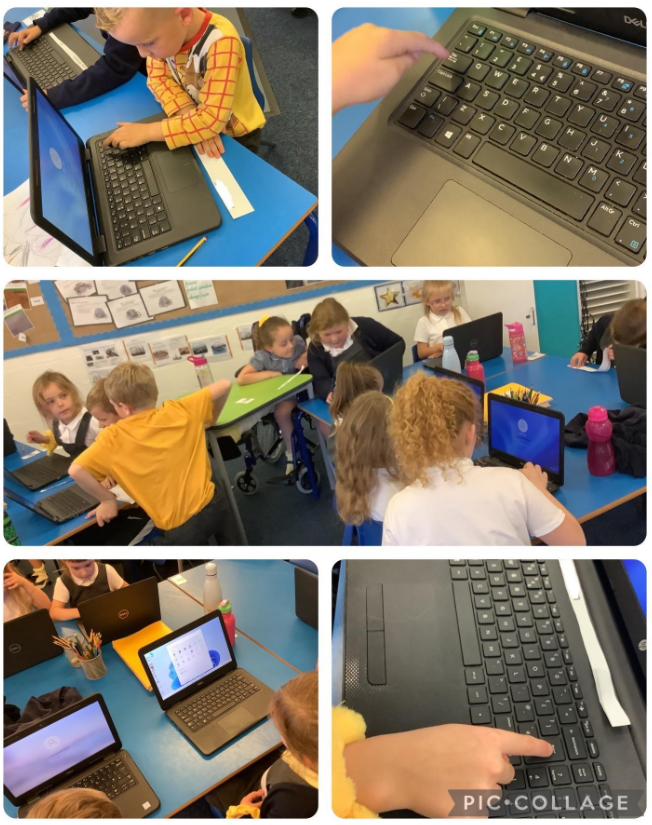 BluebellClassMPA tweet media