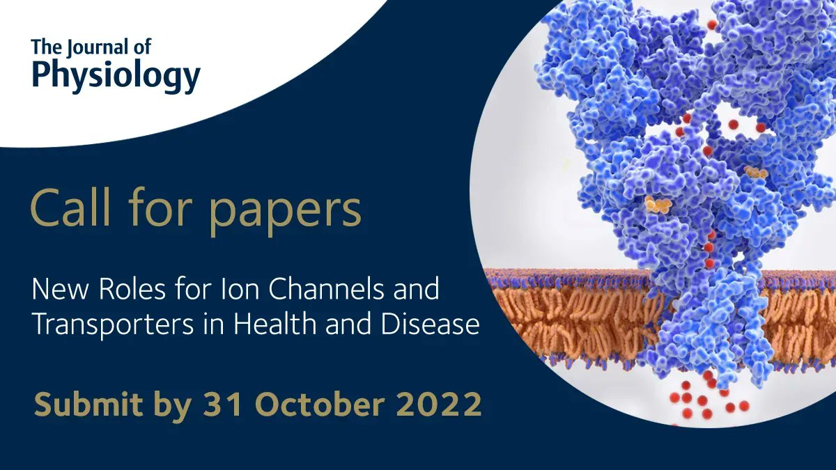 We're seeking submissions related to the theme of epithelia & membrane transport including 1️⃣Physiology of novel ion channels & transporters 2️⃣Comparative ion transport physiology 3️⃣Dysregulation of transport processes in disease 🔗 More info: buff.ly/2rSqwjy