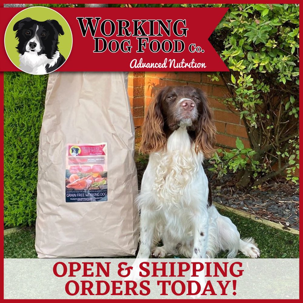 How Much Protein Does A Working Dog Need