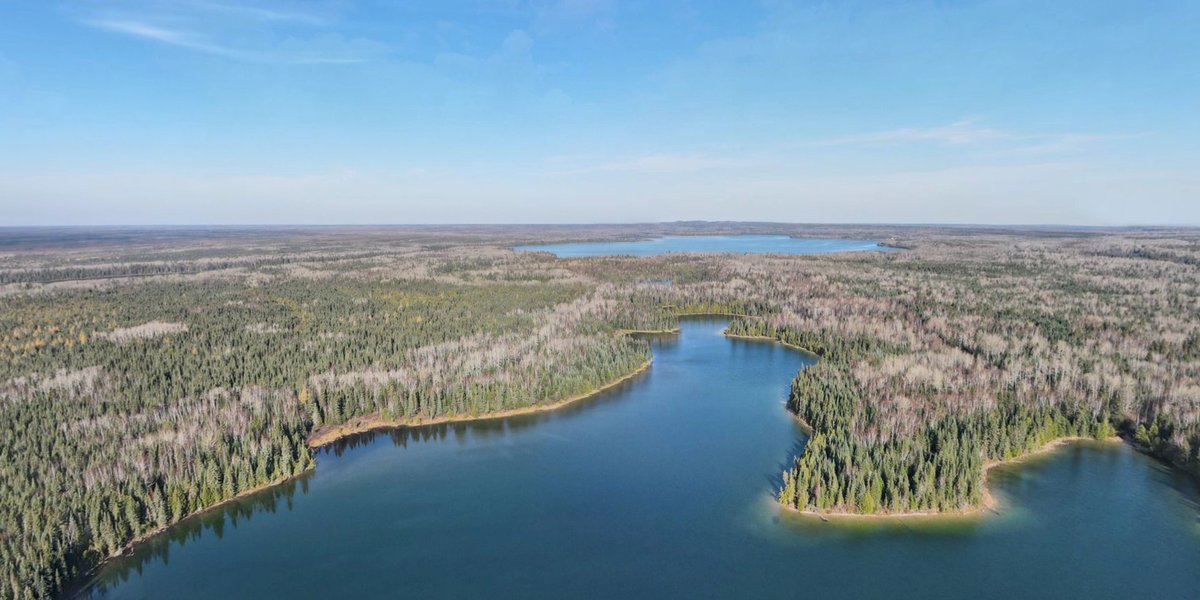 NCC_CNC Media tweet media