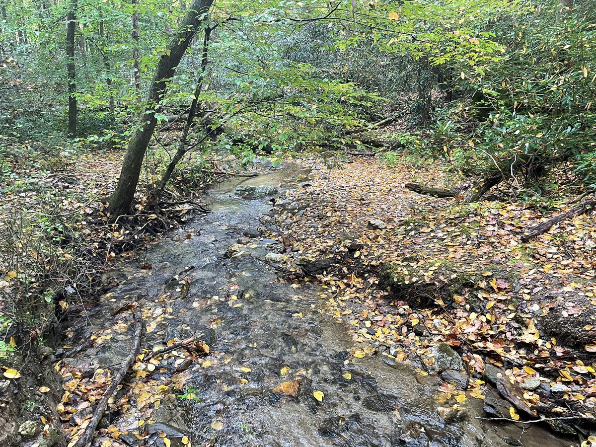 BestFriendsNFT's tweet photo. Sometimes #NFTDevs just need to touch some grass and find a waterfall! Back to work today!
#tomscreek #Appalachian #waterfalls
#daytrip #solananfts #fall #ncmountains #yallseethevibes https://t.co/QnnD61KB2d