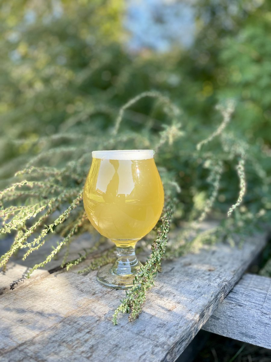 Woohoo it’s Friday! Come join us for a pour of Olaf, our Norwegian Farmhouse Pale Ale, or any of our other 9 beers on tap! Open 4-9pm!
#6pack #BristolRI #RIbeer #brewerylife #RIbrewery #eastbay #401beer #dogfriendly #Olaf #Norwegian #farmhouse #paleale #juniper #JoinOurPack