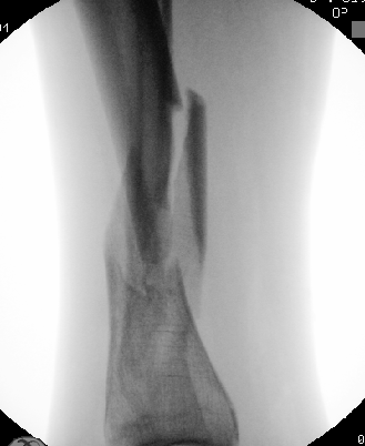 Dr. Edward Oates tweet media