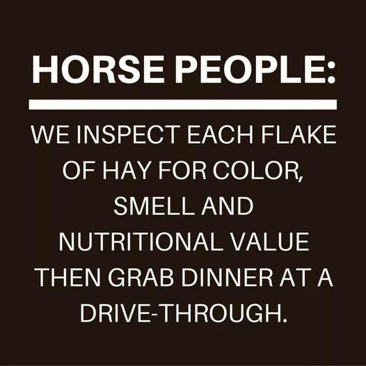 SteveRother's tweet photo. Join like-minded horse people in our Excel With Horses Community Facebook Group!
https://t.co/JcXWm7KnwG

#HorsePeople #FunFriday #ExcelWithHorses #Community #HorseCommunity #RotherHorsemanship https://t.co/Aa3MPpy3mX