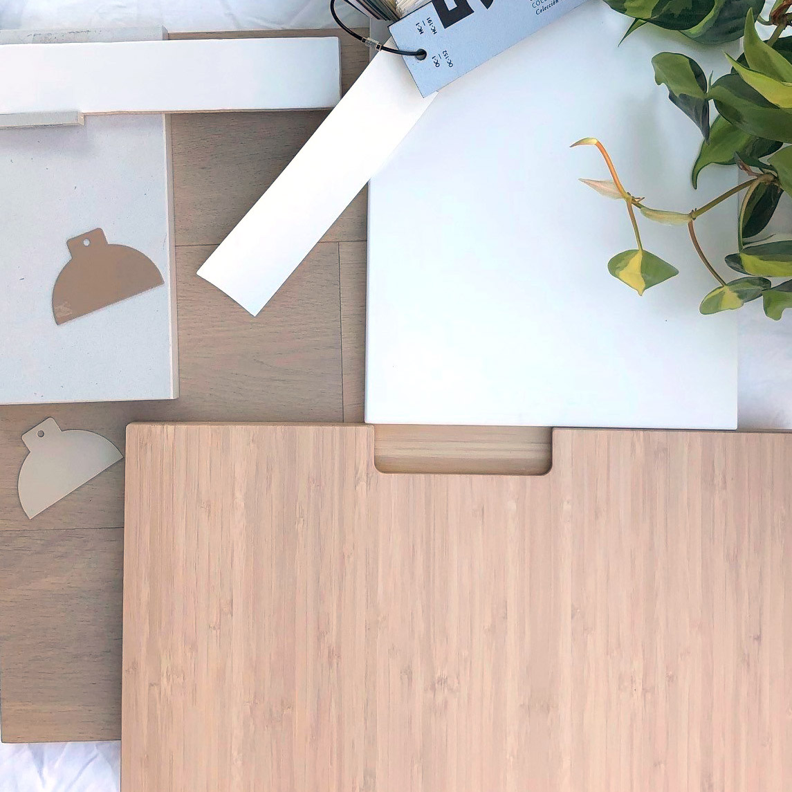 One SEED Architect tweet media