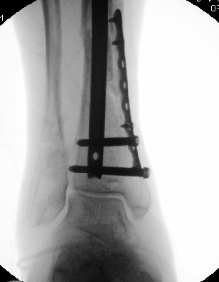 Dr. Edward Oates tweet media